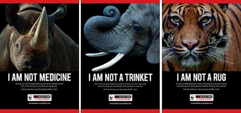 8. Possible Solutions Figure 3. World Wildlife Fund(WWF) s online campaigns to protect wildlife animals from illegal poaching and trafficking; Stop Wildlife Crime. Web image. World Wildlife Fund, n.d. Web. 24 Oct.