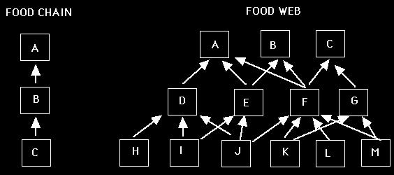 Figure 1-2: schematic diagram shows food chain and food web Figure 1-3: drawing examples of food chains and food web In an ecosystem, when the number of species increases (ecosystem diversity)
