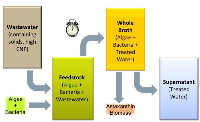Wastewater Treatment: Setup Wastewater with high concentration of complex carbohydrates, N,