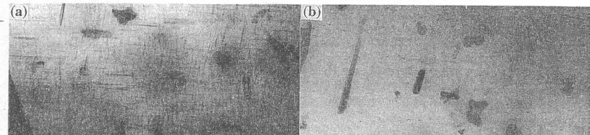precipitation of Mg 2 Si, silicon precipitates in Figure 9, ranging 30-80nm in size, were observed both in the primary aluminum dendrites and in the eutectic region after the sample was aged for 24