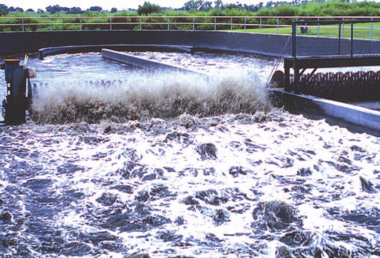 Brush Aerators in an Oxidation Ditch Centerfeed well of a clarifier for removing excess biomass of mechanical aeration and forced aeration can also be used.