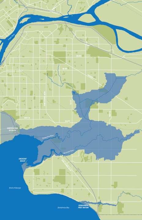 ICFAA STUDY AREA CFAS STUDY AREA SURREY COASTAL FLOOD ADAPTATION STRATEGY (CFAS) Mayor & Council adopted recommendations to develop a Coastal Strategy Feb 22, 2016 under Corporate