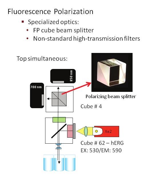 Predictor herg Fluorescence Polarization The Predictor herg Fluorescence Polarization Assay Kit provides a set of validated components to perform herg channel biochemical binding studies in the