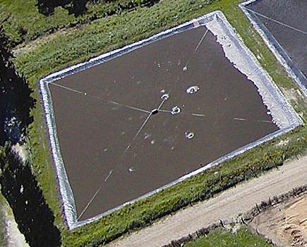 Covered Anaerobic Ponds for Anaerobic Digestion and Biogas Capture: Piggeries INTRODUCTION Anaerobic ponds have been traditionally used in New Zealand to treat piggery, dairy farm, meatworks and