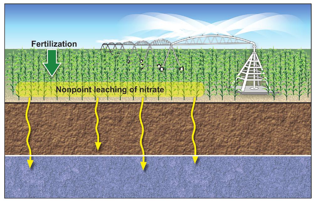Figure A-4. Nonpoint source nitrate contamination of groundwater can come from intensive production of irrigated corn.