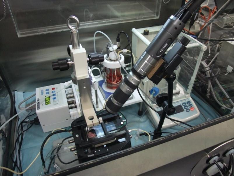Medium tank Camera Perfusion pump
