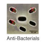 pathogen s ability to enter the