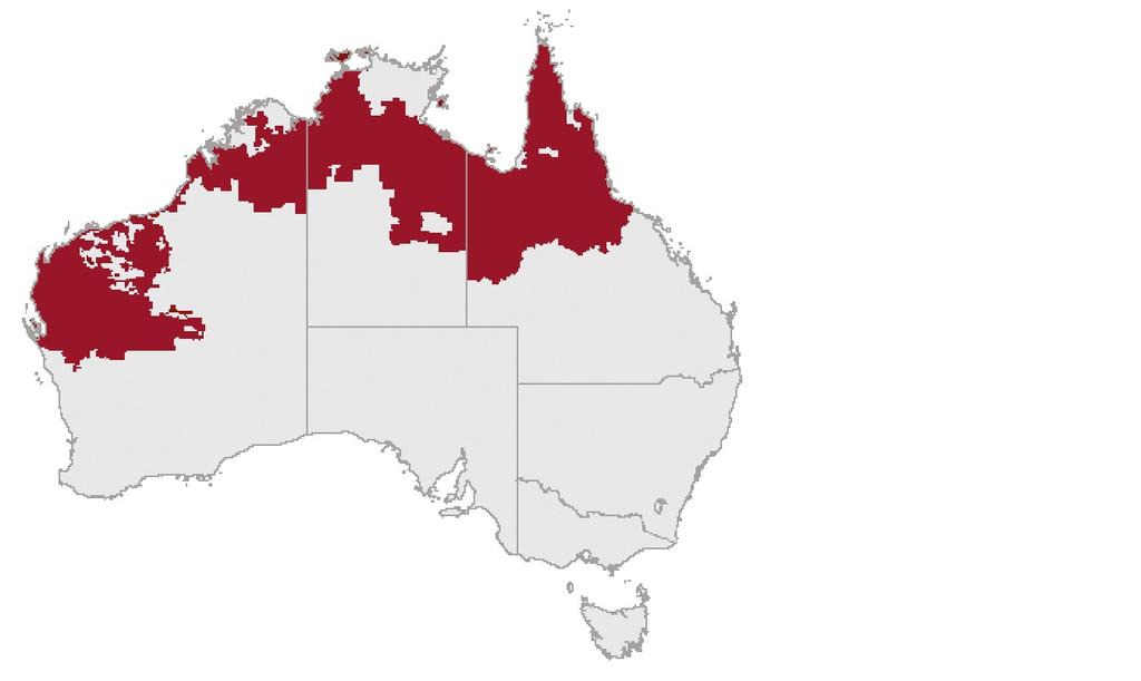 Financial performance of live cattle export region Most of the cattle exported live from northern Australia over the past decade have been sourced from the northern live export region (Map 4).