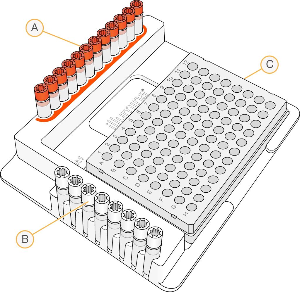 Figure 7 TruSeq Index Plate Fixture Amplify PCR A B C Columns 1 12: Index 1 (i7) adapters (orange caps) Rows A H: Index 2 (i5) adapters (white caps) NPP1 plate or NPP2 plate 2 Place the NPP1 plate on