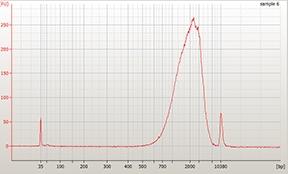 2 [Optional] Dilute 1 μl pooled sample 1:10 and run on High Sensitivity Bioanalyzer chip.