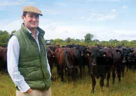 Nuffield scholar Rob Richmond began mob-grazing 10 years ago, moving from ryegrass-only leys to