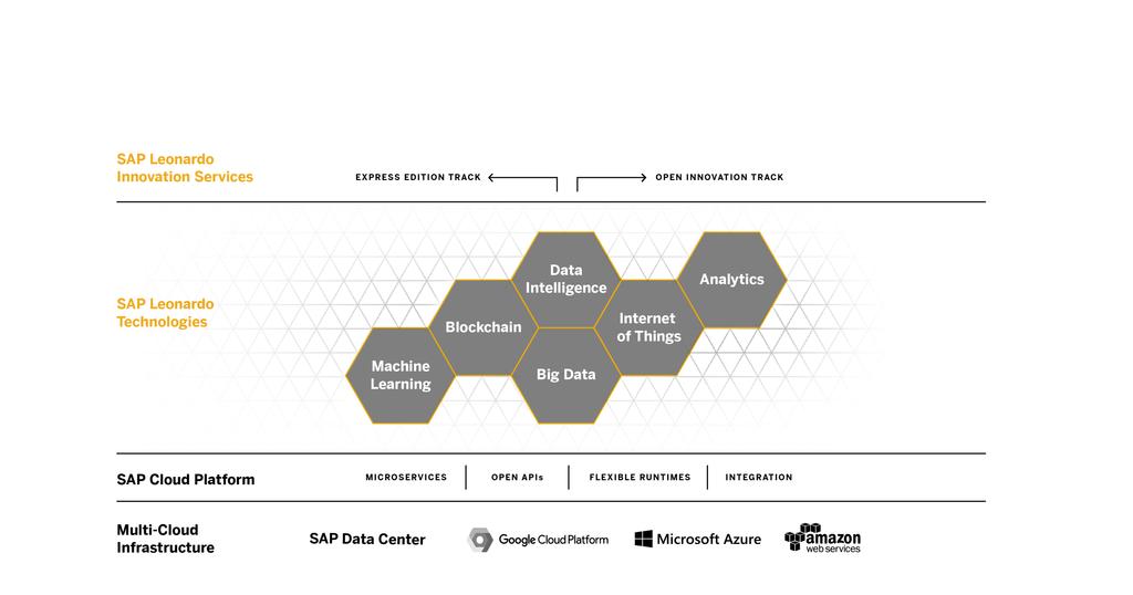 SAP Leonardo Digital Innovation System 2018 SAP SE