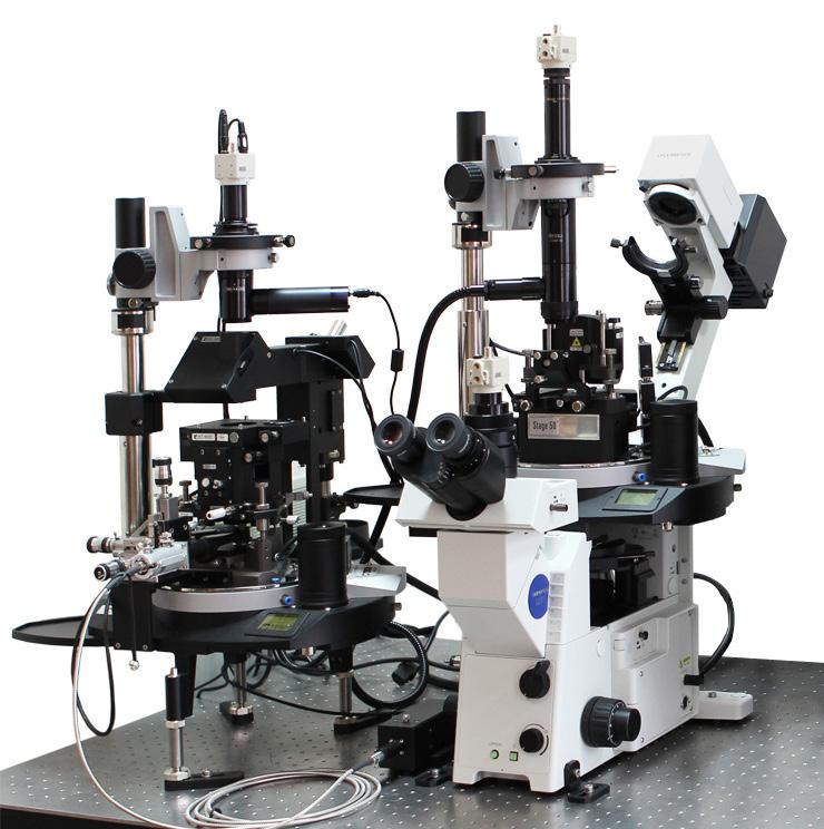 integrated solution for simultaneous AFM and Confocal Raman, Fluorescence,