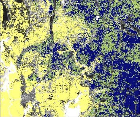 1 Inventory of buildings and infrastructure Urban Mapping was split up into a Service 1a for EO stand-alone products, which are directly retrieved from very high-resolution optical satellite images