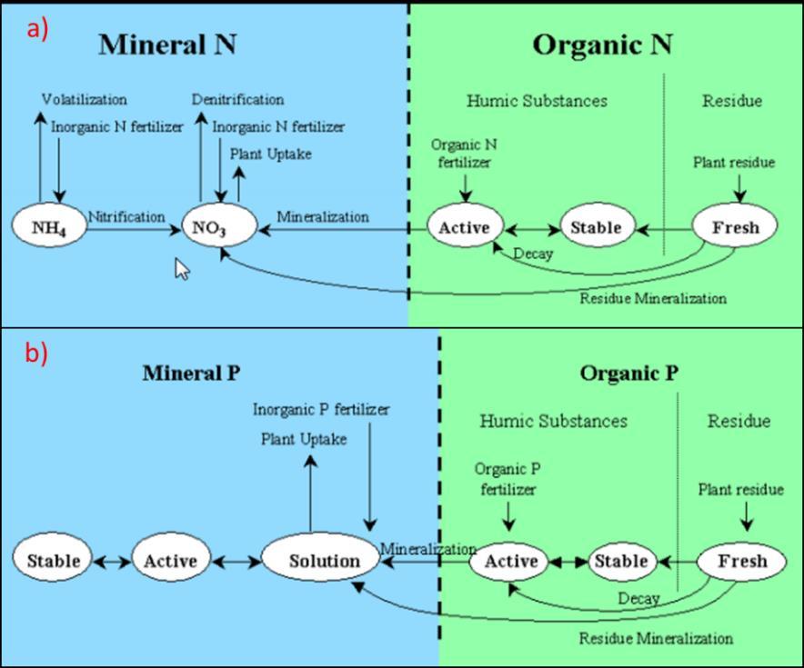 Conceptualized nitrogen (a) and phosphorus (b) processes in SWAT Modeling Models provide important insights that may not be possible from field observations alone, and can simulate future outcomes of