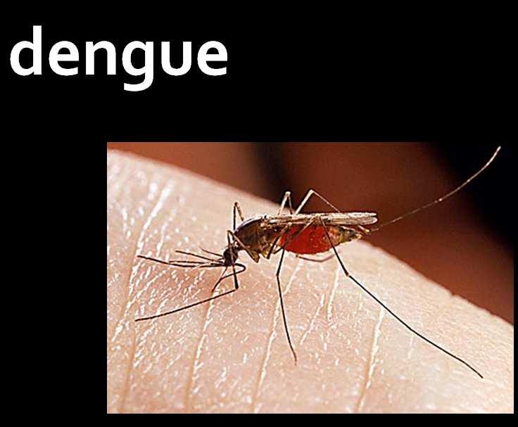 exposed to dengue from about 35% (upper figure), to