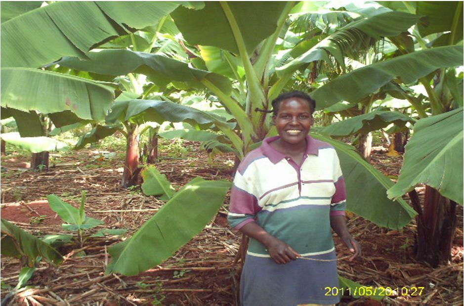 Inspiration from Mai Samanga 5 Mai Samanga s Story Chairperson of the Mpangwa Banana Producer Group Has a plot of banana with about 800 plants Sells to Matanuska, a key banana company in Zimbabwe