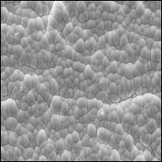 2% P has no evidence of these boundaries, or they are less strong marked (image 7). Line scan Image 5: Greater SEM magnification of image 3 (4 x mag.) of the NiSn IMC on an 8.