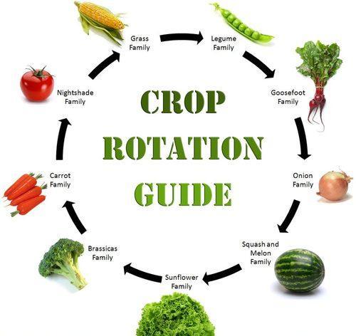 Crop rotation- alternate high residue crops with residue crops to