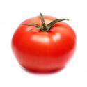 tomato + big