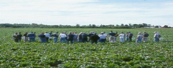 Michigan Sugarbeet Advancement Program In an effort to identify and solve critical industry production problems, the Great Lakes Sugarbeet Advancement Program was started in 1997.