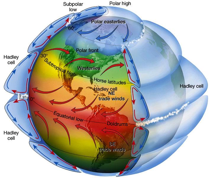 Factors affecting global climate A1- Atmospheric cycles - The two major driving factors of large-scale winds are the differential heating between the equator and the poles (difference in absorption