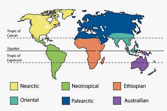 A3- Biogeography depending on the global positioning and size of the land mass, we recognize six bio-geographic realms