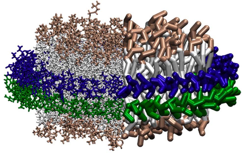 Coarse Grained Molecular Dynamics of Computationally slow dynamics reaches to 100 ns Lipid Nanodiscs Simple scaffold protein Computationally fast