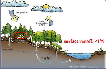 Low Impact Development Stormwater management strategy Consists of a series of small-scale hydrologic controls