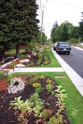 gov/util/about_spu/drainage_&_sewer_system/ GreenStormwaterInfrastructure/NaturalDrainageProjects/StreetEdge Alternatives/ Green Landscaping Design Site