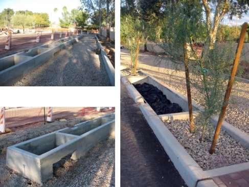 Structured approach to street-edge water harvesting in a very pedestrian-heavy area, north side of Reid Park in Tucsn.