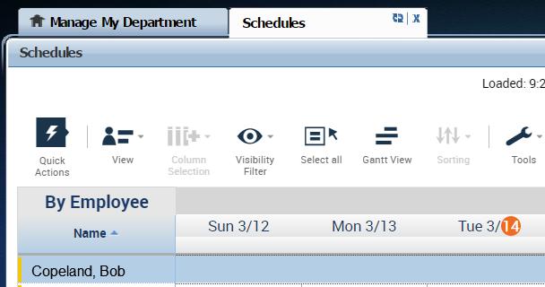 1. Use your mouse and right click on the employees name and click on Schedule template (a Schedule Pattern