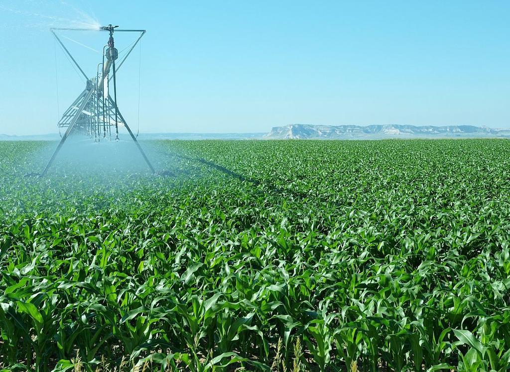 water RESOURCES Forty percent of the District s cropland uses irrigation. Over half of these irrigated acres are in Scotts Bluff, Box Butte, and Morrill counties.