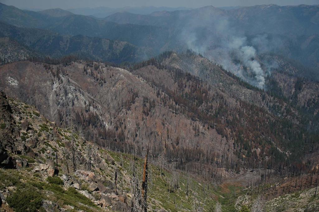 Fire severity in the Klamath Mountains: past, present, and future.