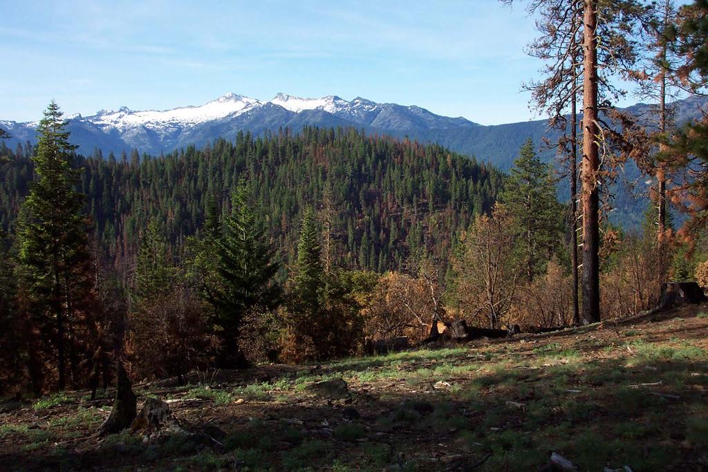 Factors influencing fire severity in the Klamath Mountains 2006 fires Long term goal: Develop models to help predict outcomes under varying conditions, including those when fire might be used for