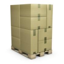 A GTIN for every packaging level Pallet Tertiary package: Case / Shipper