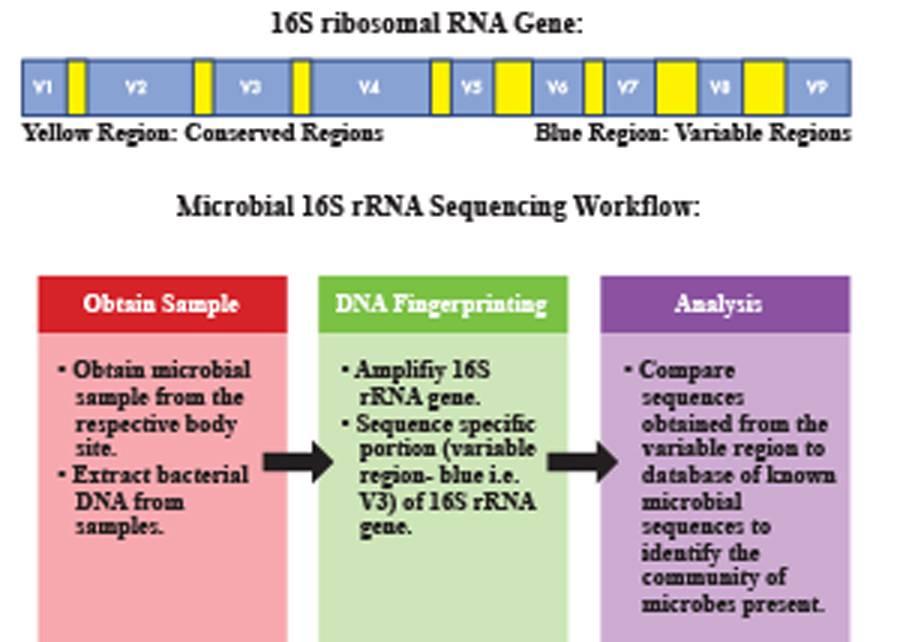 Next-gen sequencing can be used for microbiome studies 1.