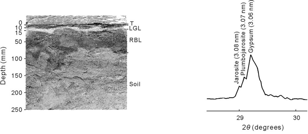168 I. GARCÍA et al. Fig. 1 General view of the soil covered by the pyrite tailings. T = tailings; LGL = light-greyish layer; RBL = reddishbrown layer. Fig. 2 Detail of X-ray diffraction (XRD) diagram (between 29 30 degrees) of the light-greyish layer of soil.
