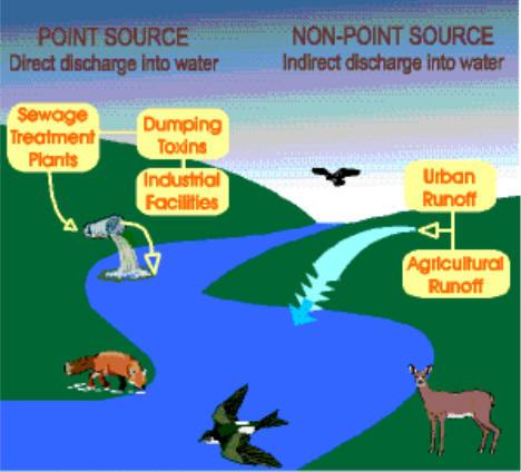 Point Source - single identified sources of pollution (e.g., smoke stack or effluent discharge). 3.