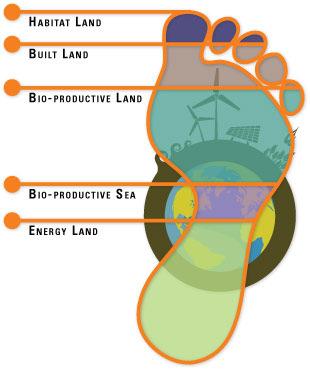 What is your Ecological Footprint? Are you contributing to a sustainable world?
