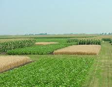 Sustainable agricultural practices can prevent erosion Crop rotation, or
