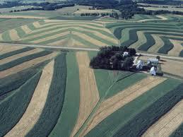 Sustainable agricultural practices can prevent erosion In contour plowing, rows are plowed in curves along