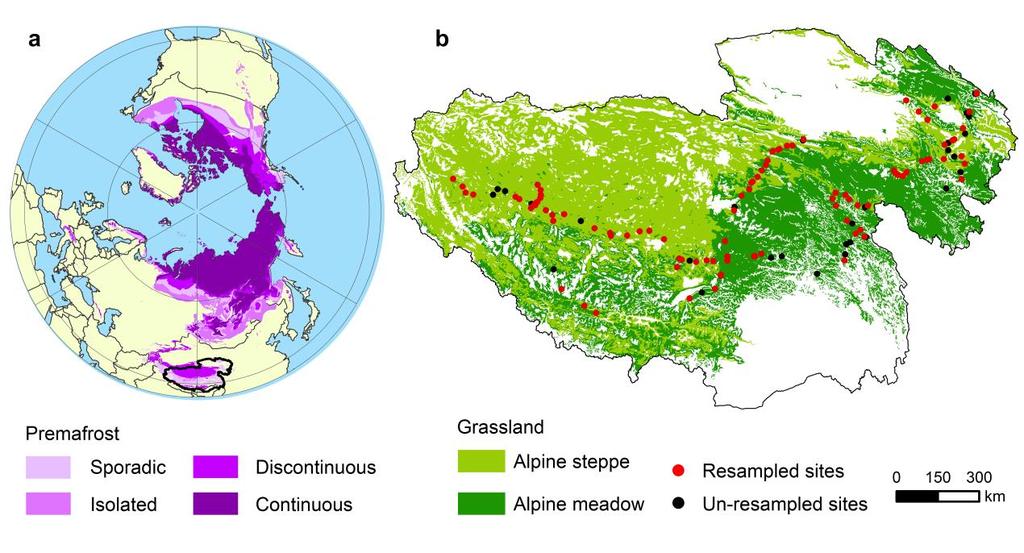 Supplementary Figure 1 (a) Circumpolar map of permafrost 17, (b) spatial distributions of resampling sites and major grassland types on the Tibetan Plateau.