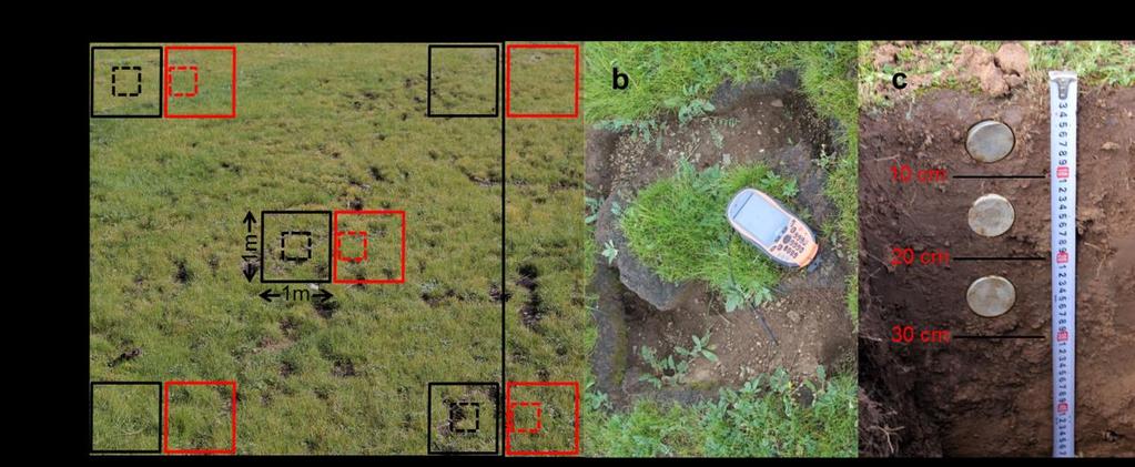 Supplementary Figure 2 The picture of sampling design (a), and photos of the original soil pit during the 2000s (b) and resampling soil pit during the 2010s (c).