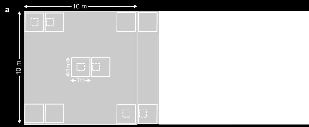 Specifically, five 1 1 m 2 quadrats (represented by solid squares) located at each corner and the centre of a 10 10 m 2 plot was set up for each site.