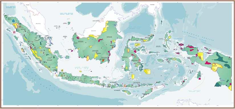 DISTRIBUTION OF INDONESIANS CONSERVATION FORESTS Nature Reserve Wildlife