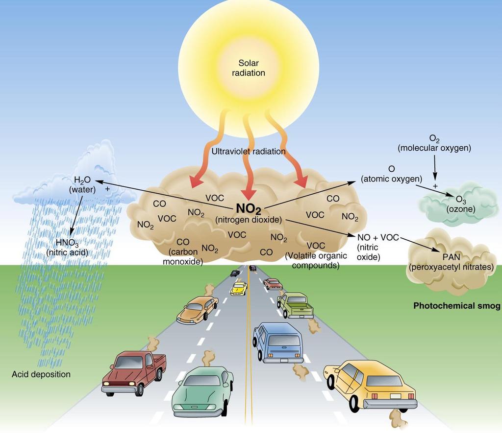 Formation of photochemical smog.