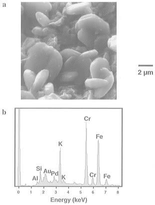 Scanning electron micrograph with energy dispersive X-ray spectrum of chromium-containing crystals in the bulk soil. The crystals were identified as KFe 3(CrO 4) 2(OH) 6.