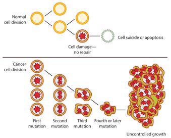 uncontrolled growth of cells Sickle Cell disease changes the shape of bloods cells Caused by point