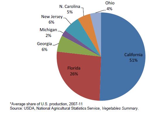 Years 1960s 1970s 1980s 1990s Share of Bell Pepper in Top 7 states (fresh & processing), 2007-2011 Per